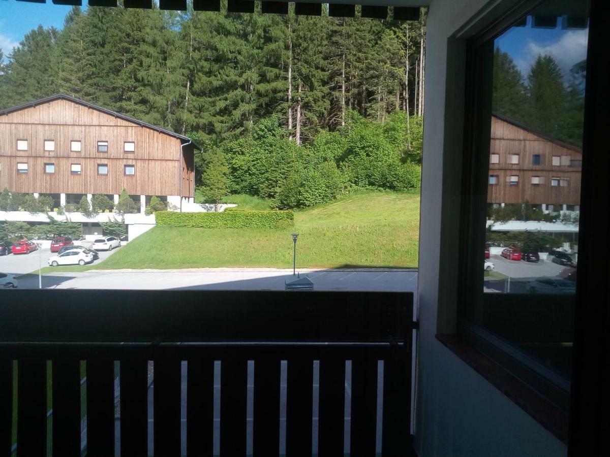 Apartment Fewo Irdning Pichlarn Aigen im Ennstal Exterior foto